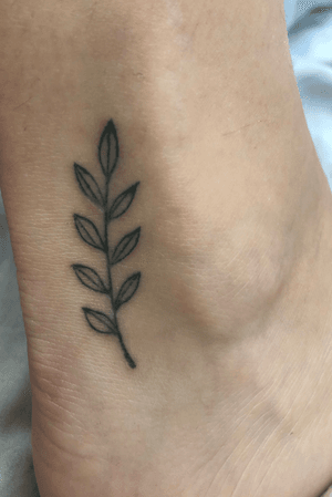 Simple olive branch 