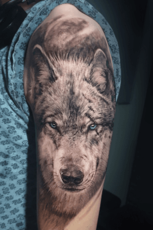 Волк #wolf #wolftattoo #tattoo #realism #besttattoos #realistic #realismo 