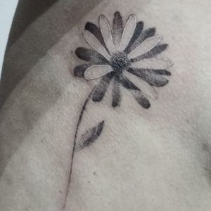 "Daisy flower" with different seven leaves (seven children) ▪ #тату #квітка #trigram #tattoo #flower #inkedsense 