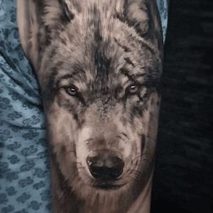 Волк #wolf #wolftattoo #tattoo #realism #besttattoos #realistic #realismo #GalinaSimakina