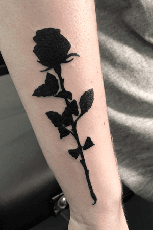 Black rose silhouette 