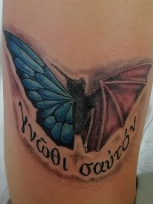 #Farfallapipistrello #bat_batterfly #color #luigicipsepe #animasottopelletattoo #aversatattoo #napolitattoo #giuglianotattoo #casertatattoo tattoo color 