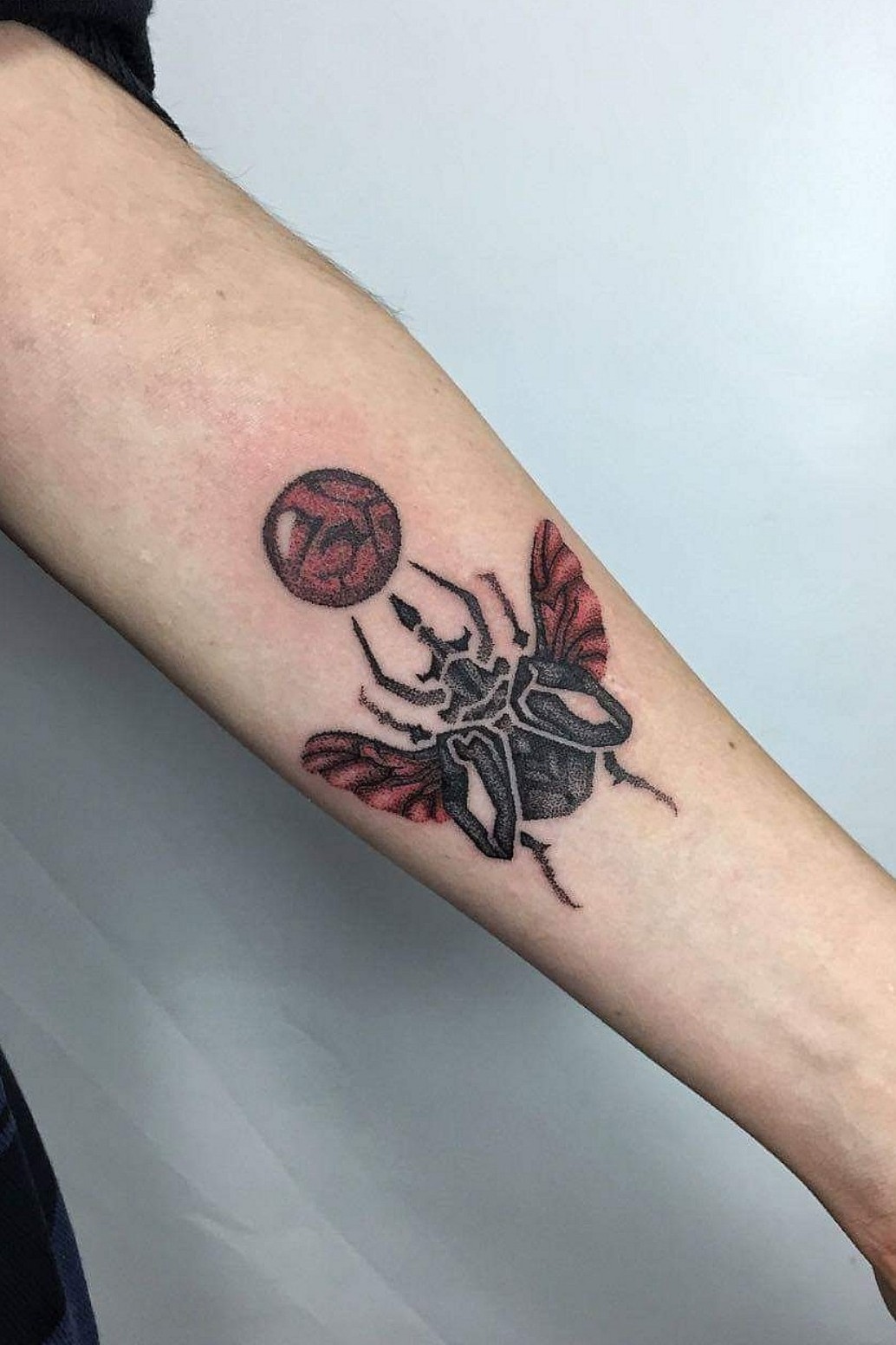 Tattoo uploaded by suludots • Escarabajo egipcio de abundancia.  #beetletattoo #beetle #dotworkers #dotwork #puntillismo #insecttattoo  #bogotacolombia #bogota #dotworktattoo #blackworktattoo #blackwork •  Tattoodo