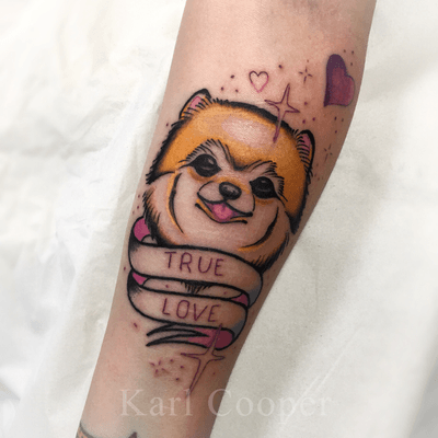 By Karl Cooper @kcoopertattoo #traditional #traditionaltattoo #oldschool #oldschooltattoo #Pomeranian #dog #puppy