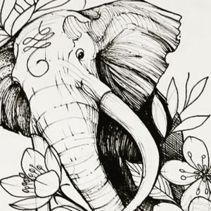 Elephant available