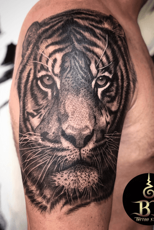 Done Tiger tattoo by Tanadol(www.bt-tattoo.com) #bttattoo #bttattoothailand #thaitattoo #bangkoktattoo #bangkoktattooshop #bangkoktattoostudio #tattoobangkok #thailandtattoo #thailandtattooshop #thailand #bangkok #tattoo 