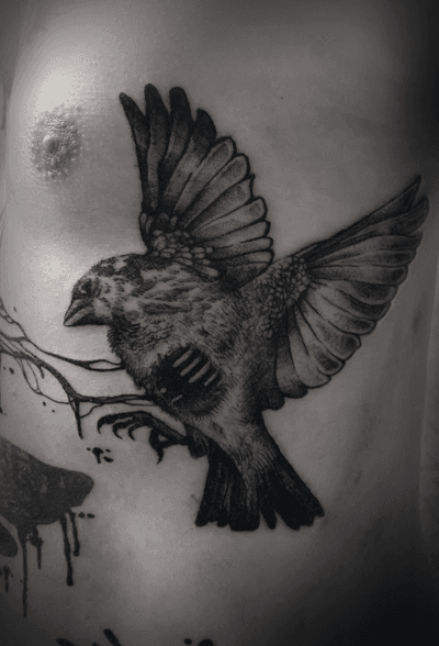 Zombie bird 🐦 #zombie #zombietattoo #chest #guy #boy #bird #dove #tattoo #gore #dead #blackwork #deadbird 