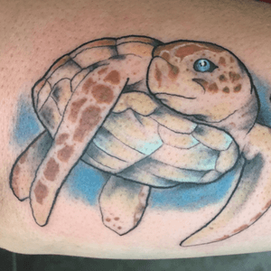 Neo traditional turtle 