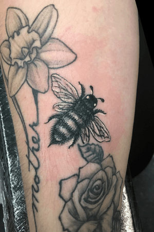 Black and grey bee 