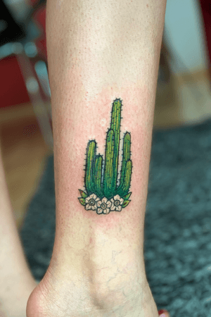 Cactus color 
