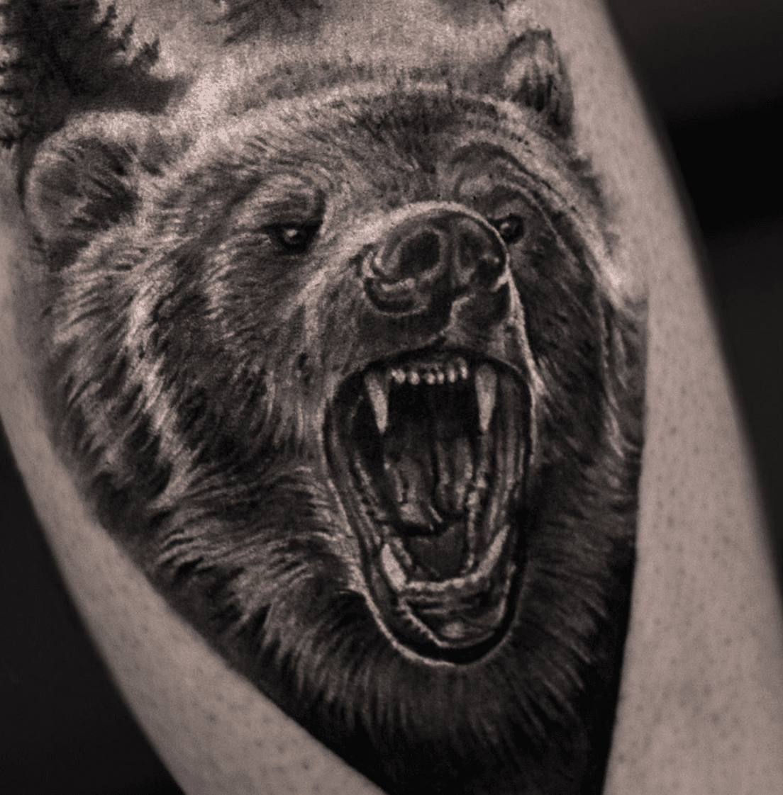 Bear Head Tattoo Mascot Creative Design Illustration  AI Free Download   Pikbest