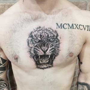 Chest tiger