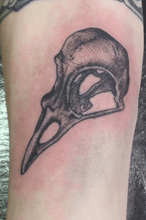 Birdskull   #porvida #tattoo #tattoos #stockport #edgeley #manchester #stencilstuff #hondnaai #yamilab #elgatonegrotattoocare #saviourtattoosupplies #pennyblacktattoobutter #tattooeverythingsupplies #booksneverclosed #walkinswelcome 