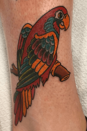my sailor jerry style parrot, done by my niece @nataliedomcity .. you can find her on instagram 