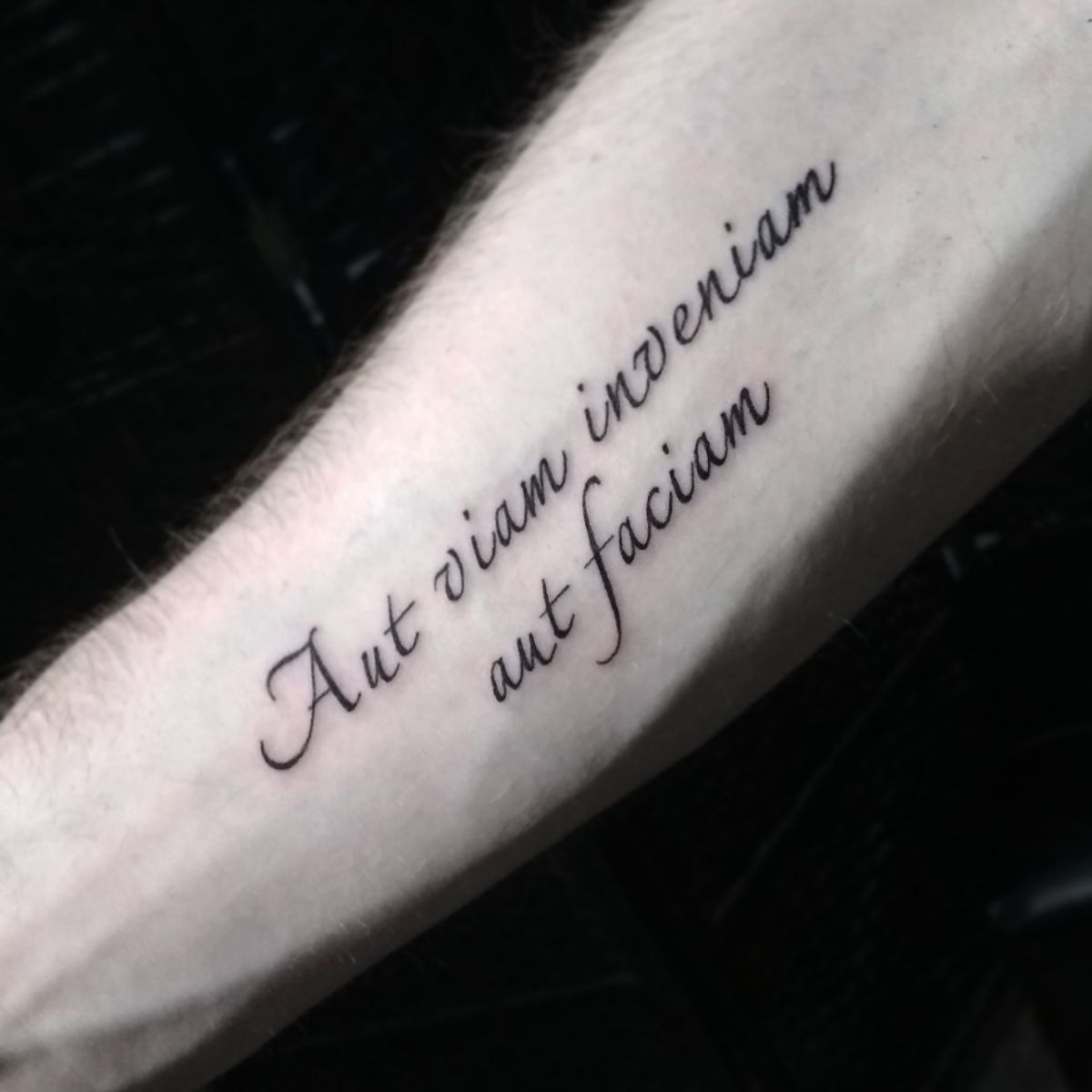 Aut viam inveniam aut faciam перевод. Aut viam aut faciam. Aut viam inveniam, aut faciam. Aut viam inveniam, aut faciam. Viam supervadet vadens татуировка эскиз.