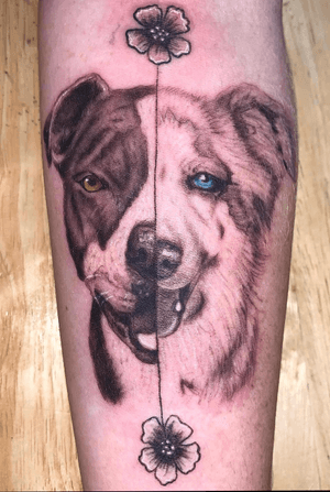 Black and Gray Realism Dog piece by me 🖤🐾 #dogtattoo#dog#dogportrait#animal#realism#blackandgrey #blackandgreytattoo #Black #realistic #beautiful #besttattoos #animaltattoo #color 