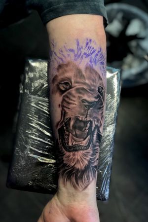 Work in progress #wip #liontattoo #lion #animalportrait