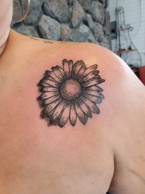 Flower,  daisy,  black