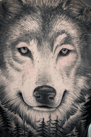 Wolf and forest tattoo #tattoo #blackandgrey #wolftattoo