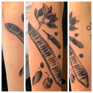 Some peppery seed pods. #seedpods #seed #seedtattoo #tattoo #seattle #seattletattoo #seattletattooartist #peppershading