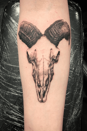 Black and grey ram skull. I enjoy doing skulls and would love to do more.