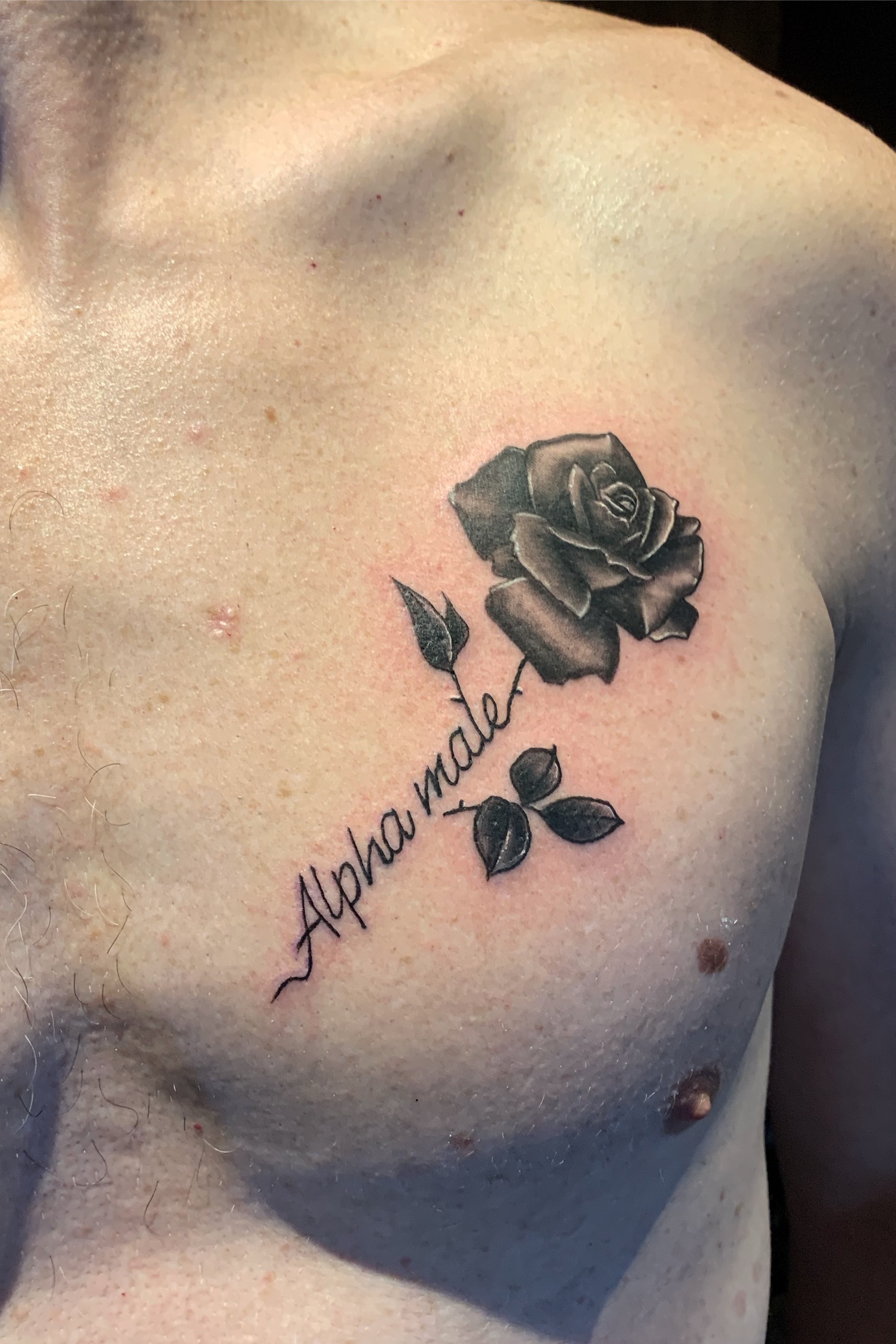 30 Dove and Rose Tattoo Designs for Men  Women  EntertainmentMesh