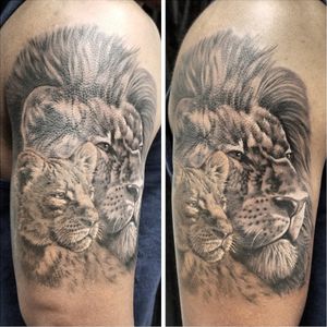 "The lion is passion, the lion is the fire. Lions call you to them" MICHAEL SAMUELS #wip #liontattoo done with #crowncartridges by Kingpin tattoo supply #wildanimals #wildlife #tattoo #blackandgreytattoo #realismtattoo #miamibeach #tattooshop
