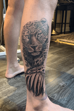 Part healed leopard which is a part of an on going animal sleeve.