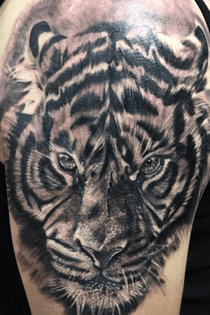 Nice tiger by resident artist Adam