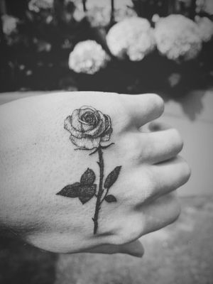 Rose tattoo on my hand #singleneedletattoo #singleneedle #fineart #finelinetattoo #handtattoo #rosetattoo #microtattoo #detailed 