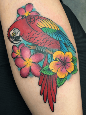 #macaw #rainbowmacaw #bird #color #neotraditional 