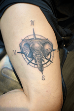 Realism elephant tattoo 🐘