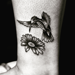 Hummingbird and a daisy 