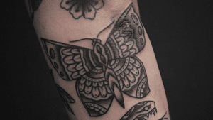 Traditional butterfly #traditionaltattoo #traditional #butterfly #boldwillhold #BoldTattoos 