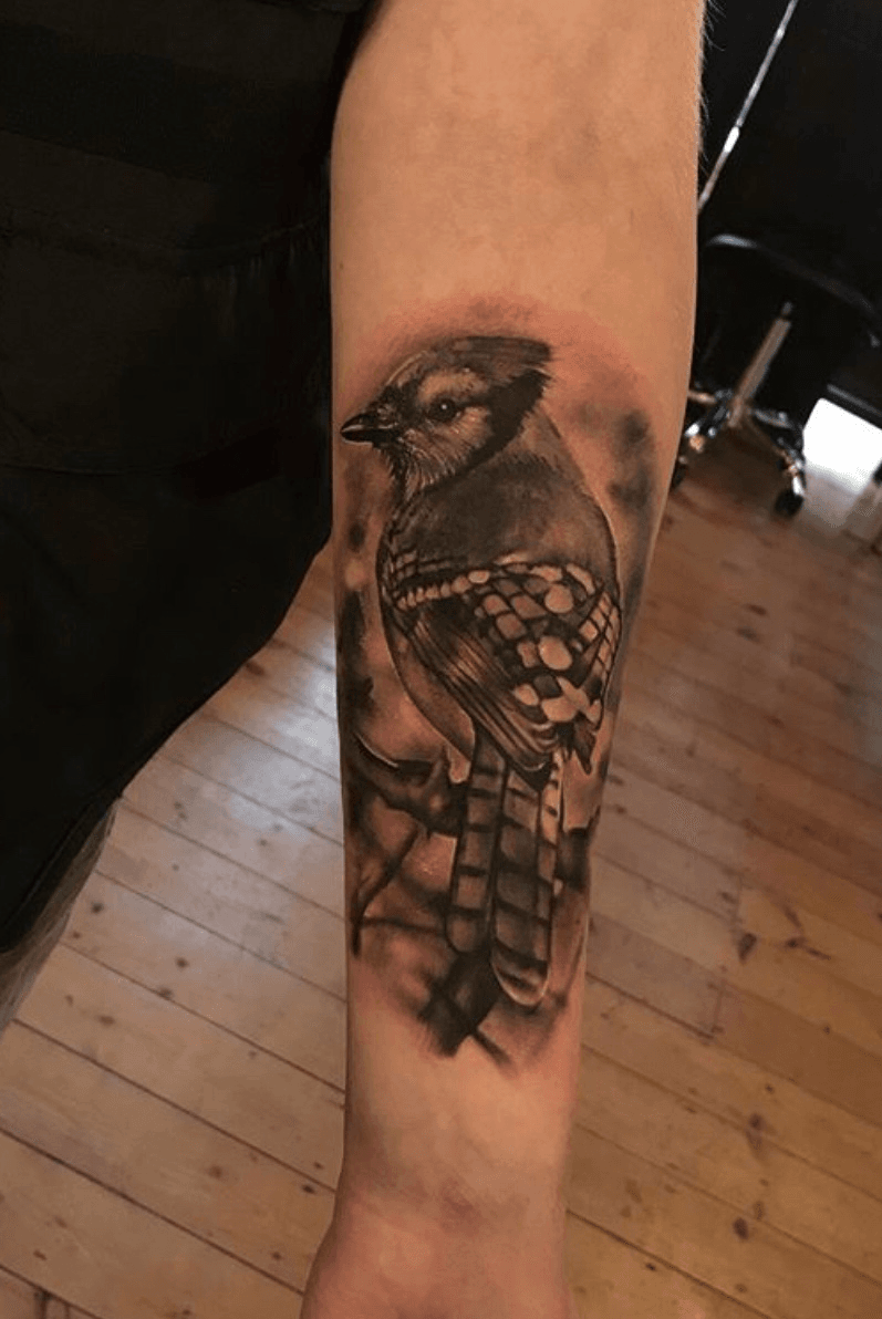 Blue Jay Bird Tattoo  Etsy