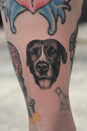 dog tattoo by machinefreetattoos #machinefreetattoos #MachineFree #Handpoke #StickAndPoke #dog #realism #petportrait