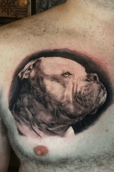 Portrait of his dog “Tank”, client requested color only in eyes 