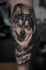 Husky portrait done in 1 session #dog #dogportrait #dogtattoo #husky #blackandgrey #realism #realistic #realistictattoo #londontattoo #tattooartist #london #Tattoodo #uktta #ink #inked #tattooart #oldlondonroadtattoos #inkedup #simonecamilloni #tattooart 