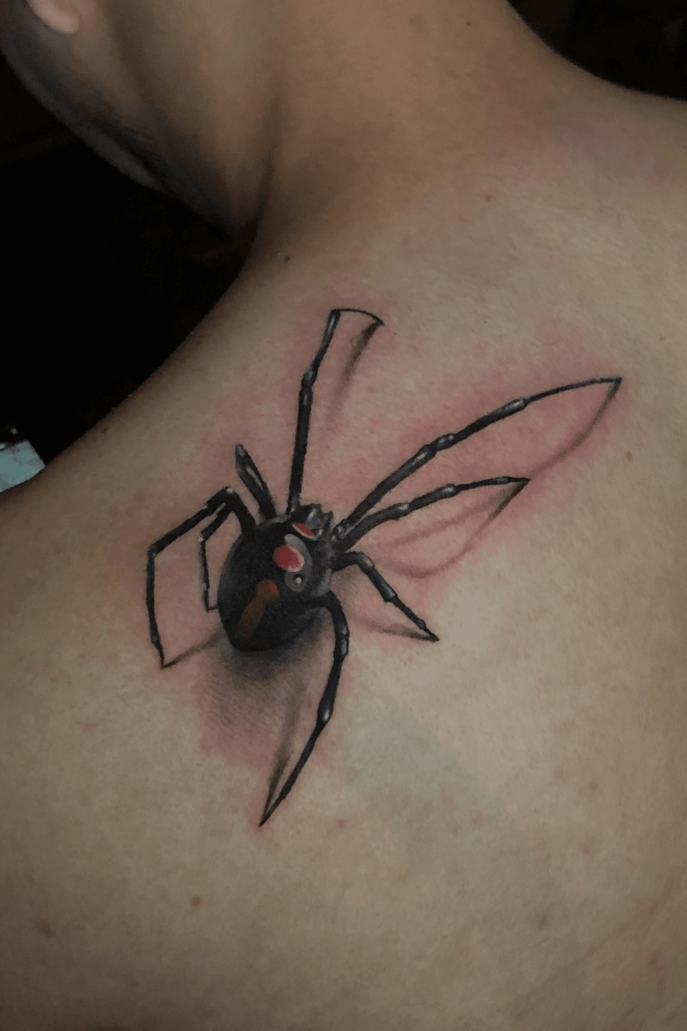 Tattoo uploaded by Tori Fernandez  Realistic Black widow spider   Tattoodo