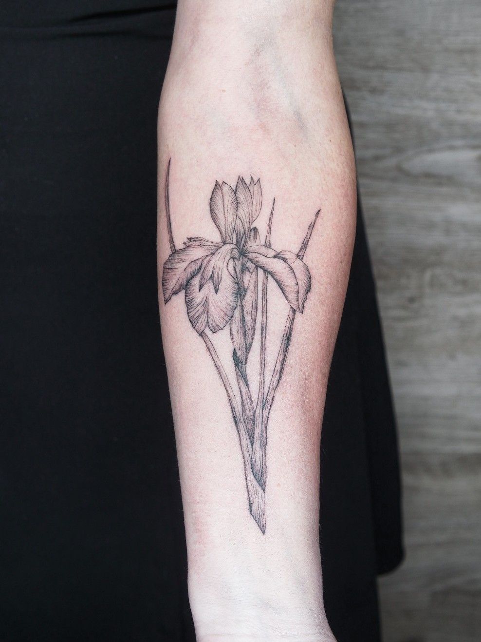 iris flower forearm tattooTikTok Search