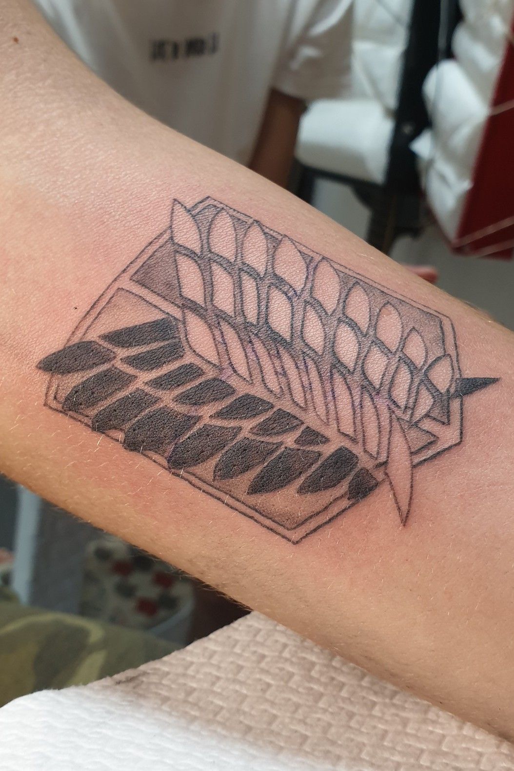 AOT tattoo sleeve by the one and only Simon K Bell I would massively  recommend his Instagramwork prints as he is a legend at animemanga  tattoos and I couldnt be more proud