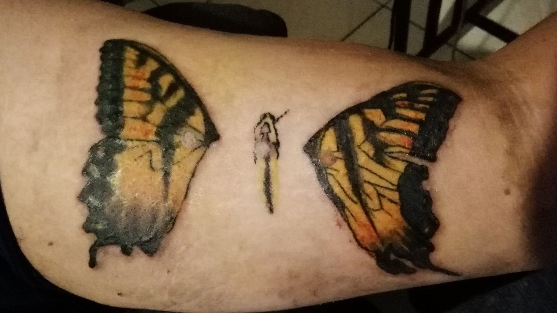 Tattoo uploaded by Carlos Bustillos • Brand New Eyes Paramore Butterfly  yellow Mariposa • Tattoodo