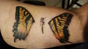 Brand New Eyes  Paramore tattoo, Paramore wallpaper, Butterfly neck tattoo