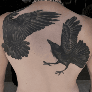 Healed  Ravens