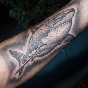Tiburón! #shartattoo #wildlifetattoo #oceanking #blackandgreytattoo #greywashtattoo #inked #tattoodo #CostaRicaTattoo #AndresTorresArt