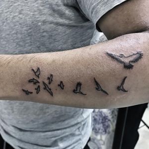 FreeSígueme en Instagram como @dhana.erika.flan....#ink #inked #tattoo #art #artwork #birds #
