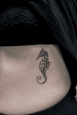 A little 3 round liner only seahorse on the ribs