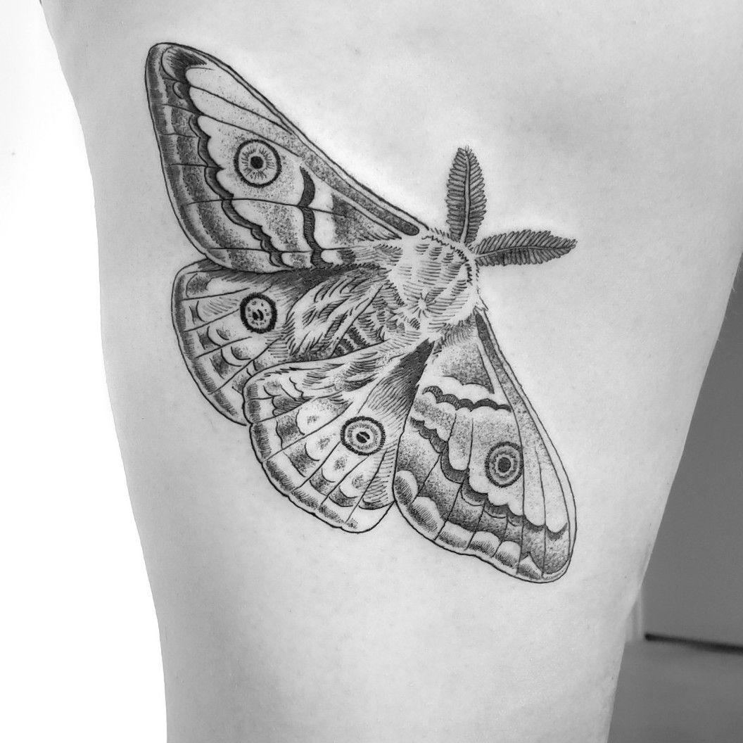 Make a Temporary Tattoo Using Tape and Printer  Moth tattoo design Insect  tattoo Moth tattoo