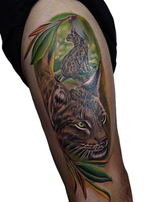 Had loads of fun tattooing this full colour Lynx cat! #lynx #lynxcat #cattattoo #colourtattoo #colourrealism #realistictattoo #naturetattooo #animaltattoo 