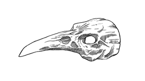 Skull design. 